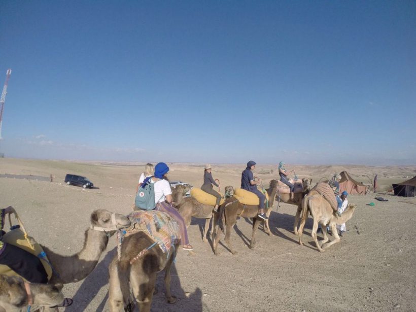 agafay deset camel ride 1 (Copier)