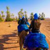 marrakech-camel-ride-at-the-palm-grove-5 (Copier)
