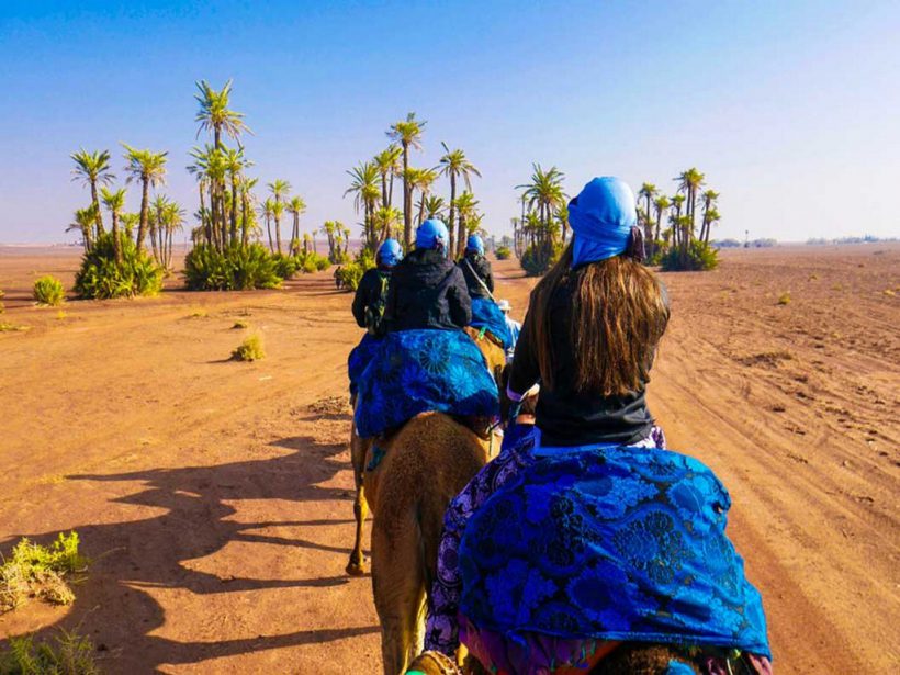 marrakech-camel-ride-at-the-palm-grove-5 (Copier)