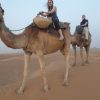 zagora camel ride